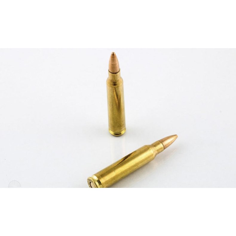 Competition cal. .223 Rem, 55 grs, 100stk